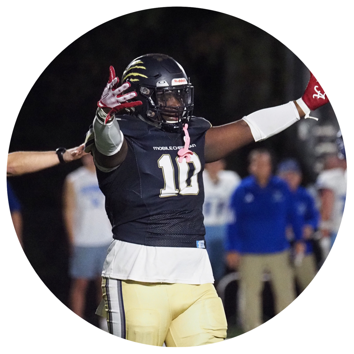 TRANSFERS AND COMMITMENTS NEWS